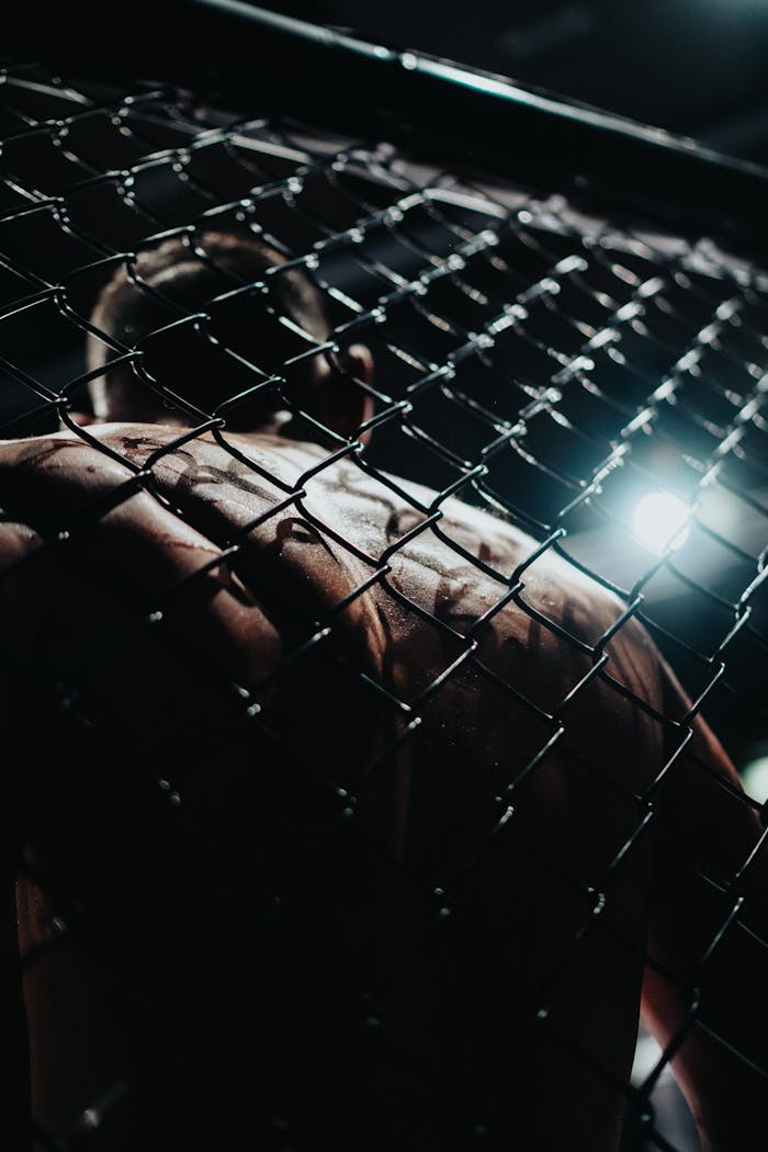 Moody shot of a muscular MMA fighter seen through the cage at night, Vienna.
